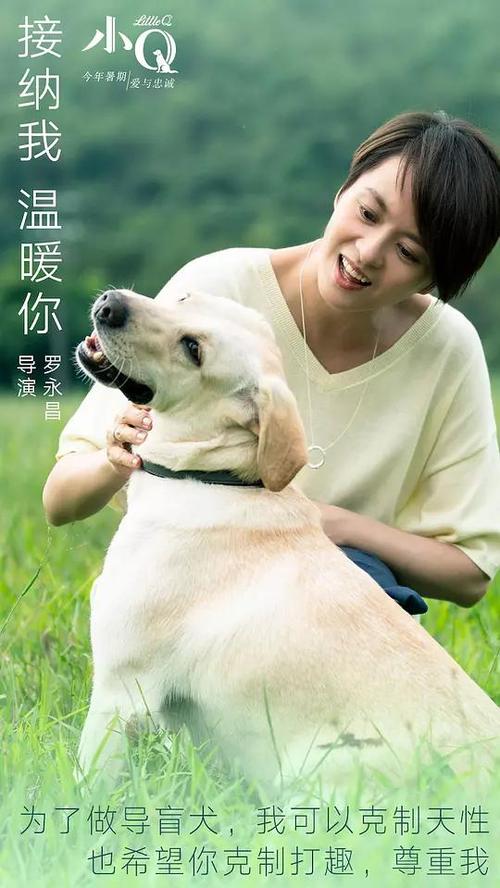 学历证书采集图像1寸照